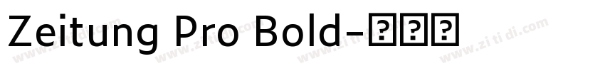 Zeitung Pro Bold字体转换